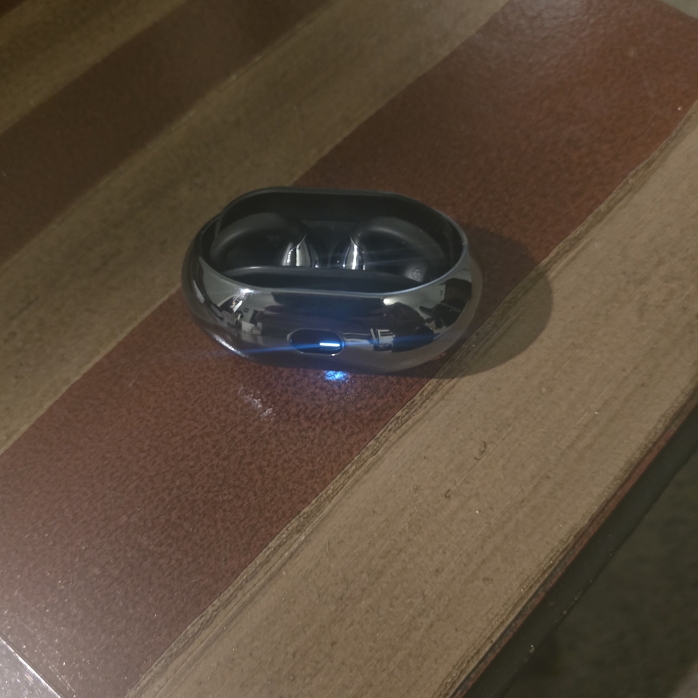 Sleek Metallic Earbuds with Charging Case